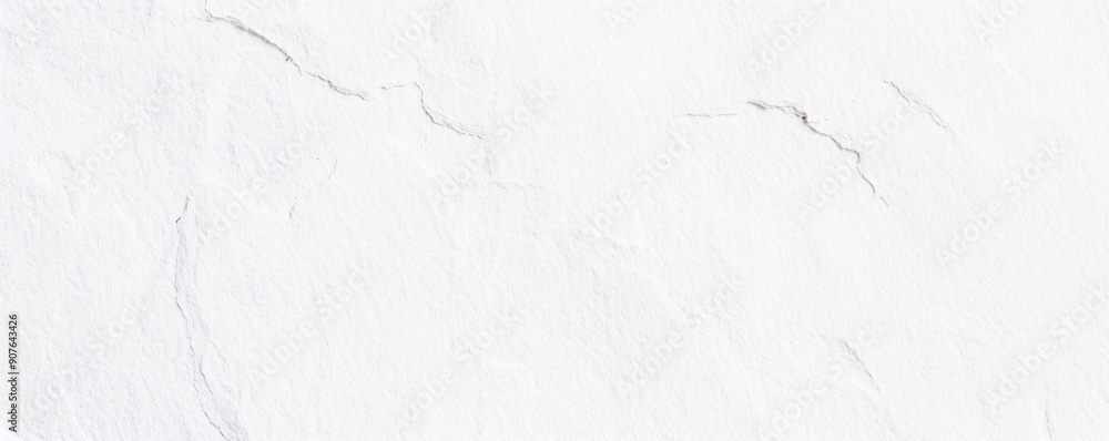 Obraz premium White watercolor paper with visible texture, banner.