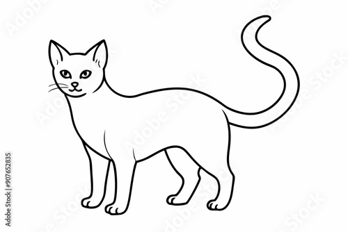 A beautiful cat drawing. vector illustration.