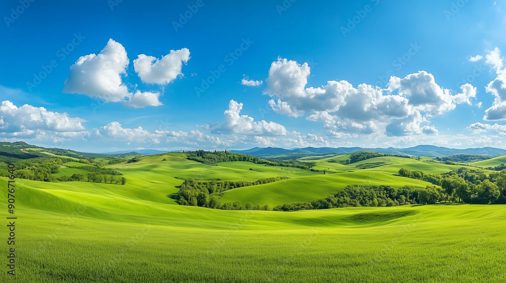 Fototapeta premium Panoramic view of vast green hills and meadows stretching out under a bright blue sky dotted with white, fluffy clouds.