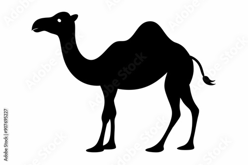 
camel vector silhouette, dromedary camel silhouette vector illustration