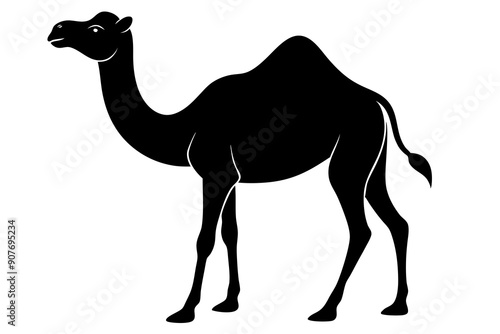 
camel vector silhouette, dromedary camel silhouette vector illustration