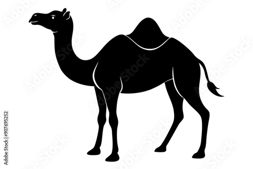 
camel vector silhouette, dromedary camel silhouette vector illustration