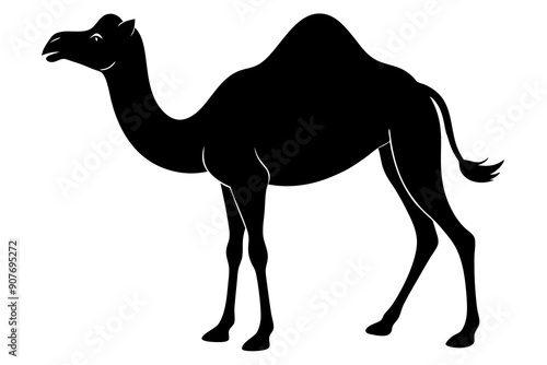 
camel vector silhouette, dromedary camel silhouette vector illustration