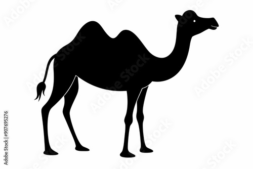 
camel vector silhouette, dromedary camel silhouette vector illustration