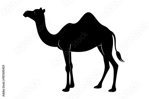 
camel vector silhouette, dromedary camel silhouette vector illustration