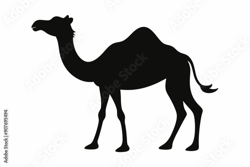 
camel vector silhouette, dromedary camel silhouette vector illustration