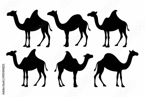 camel silhouettes, set of camel silhouettes vector 