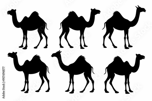 camel silhouettes, set of camel silhouettes vector 