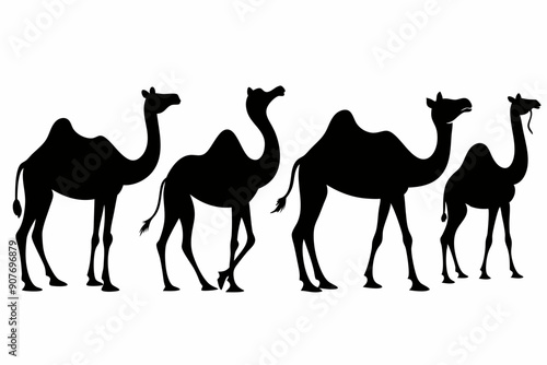 camel silhouettes, set of camel silhouettes vector 