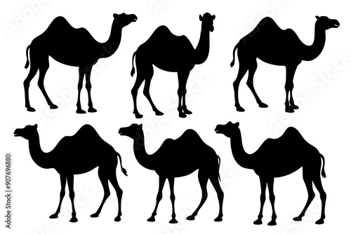 camel silhouettes, set of camel silhouettes vector 