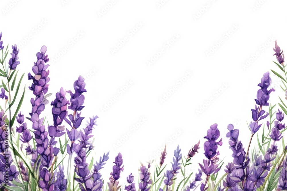 Naklejka premium Lavender blossom backgrounds flower purple.