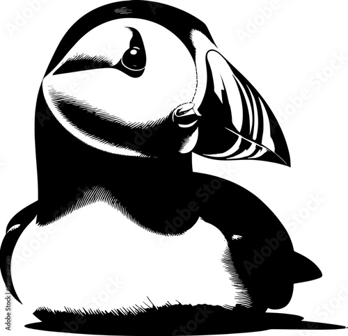 Puffin icon 15