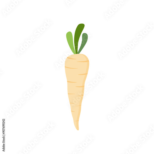 parsnips flat design vector illustration isolated on white background. Parsnip Root With Green Leaves. Fresh vegetables, organic vegetable and healthy, diet and vegetarian