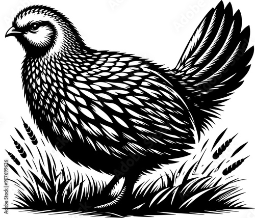 Prairie Chicken icon 2