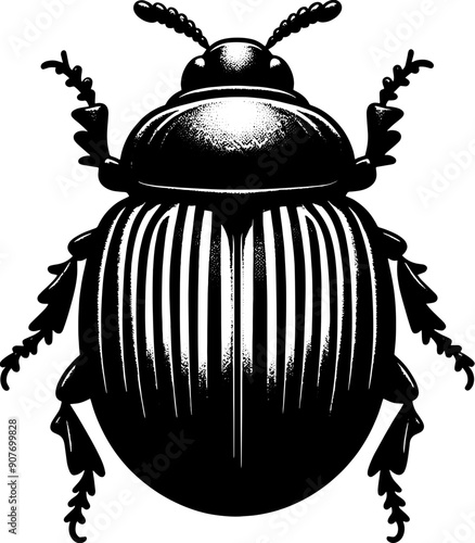 Potato Beetle icon 4