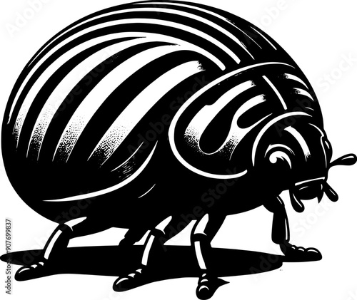 Potato Beetle icon 3