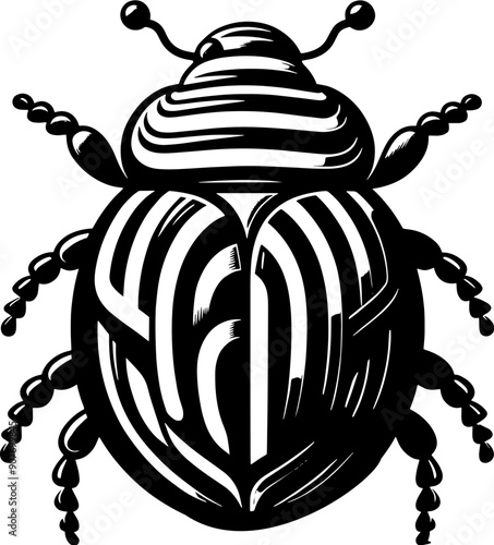 Potato Beetle icon 1