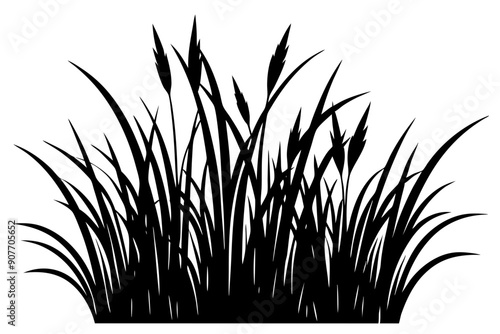 grass silhouette, Seamless grass silhouette, vector illustration.