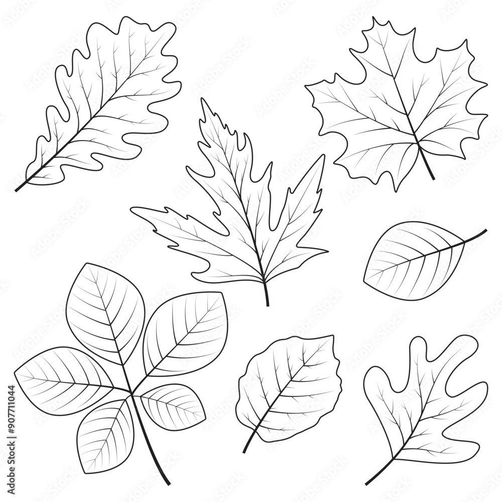 Autumn leaf line art design element Autumn leaf line art design element