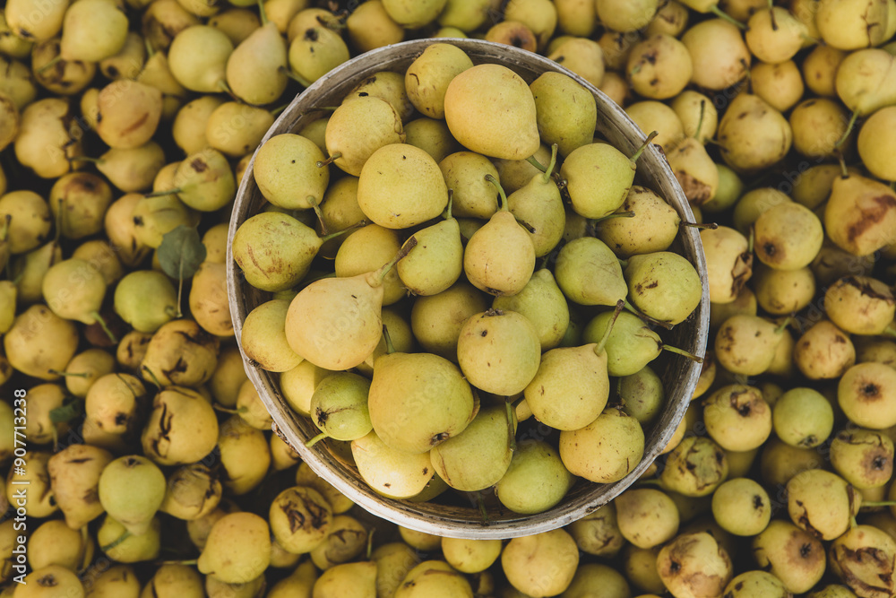 Yellow pears in a basket on the counter of a farmers market. Yellow pears in a basket on the counter of a farmers market.