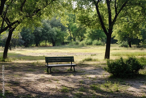 Empty park bench in a peaceful park