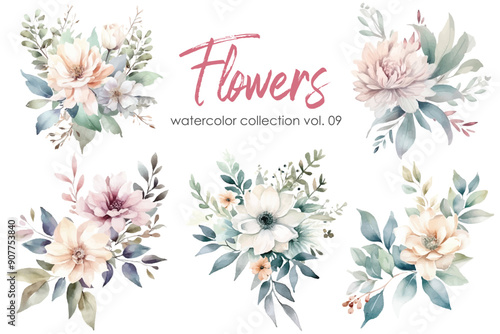 Watercolor flowers set. Hand painted floral elements isolated on white background.