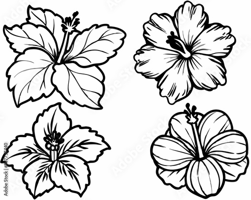 Beautiful Line Art Hibiscus Flower Illustration on White: Ideal for Floral Designs