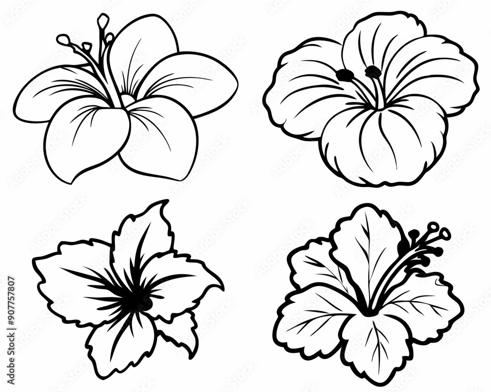 Beautiful Line Art Hibiscus Flower Illustration on White: Ideal for Floral Designs Beautiful Line Art Hibiscus Flower Illustration on White: Ideal for Floral Designs