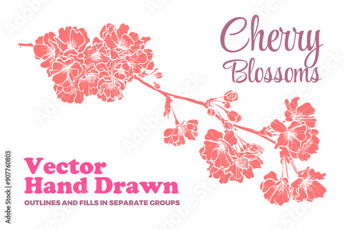 Vector hand drawn cherry blossoms. FLAT FILLS ONLY, NO OUTLINES! Each vector is one united shape. Elegant cherry blossoms for print and online design projects. 