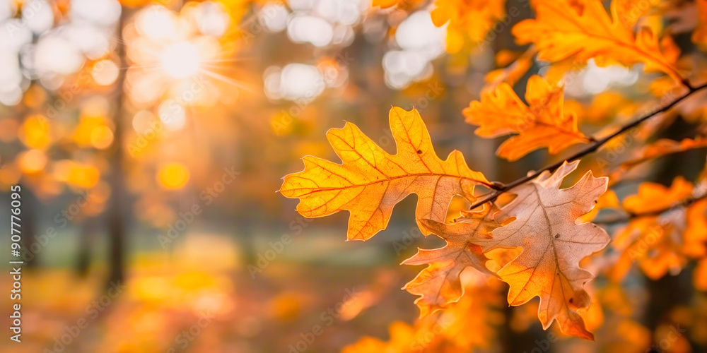 Golden autumn oak leaves at sunset. The vibrant colors and soft sunlight evoke a tranquil, natural beauty of the fall season. Golden autumn oak leaves at sunset. The vibrant colors and soft sunlight evoke a tranquil, natural beauty of the fall season.