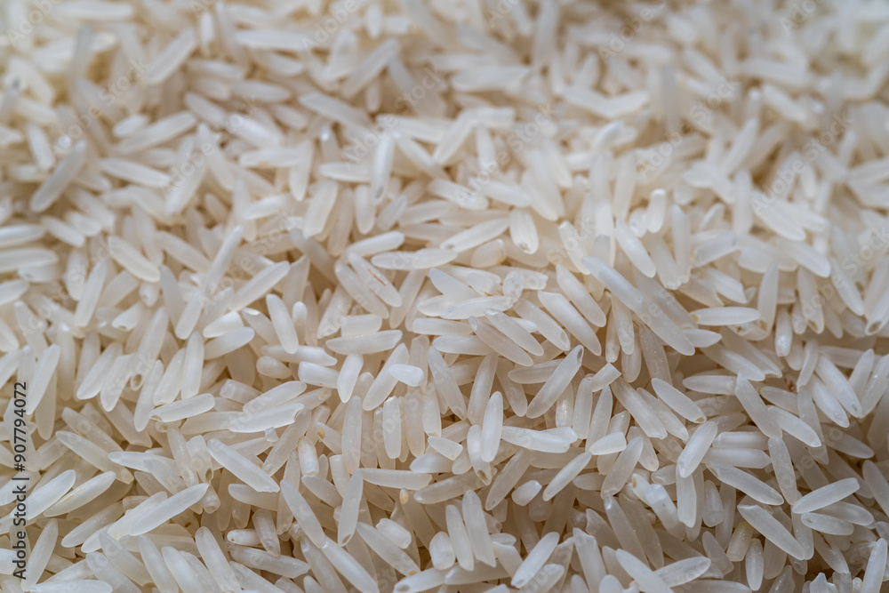 closeup of a large pile of raw white peeled basmati rice grains
closeup of a large pile of raw white peeled basmati rice grains