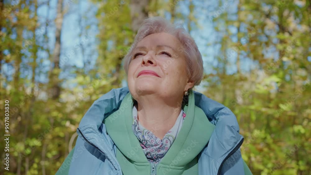 Old Woman Enjoys a Peaceful Autumn Walk in a Scenic Park Old Woman Enjoys a Peaceful Autumn Walk in a Scenic Park