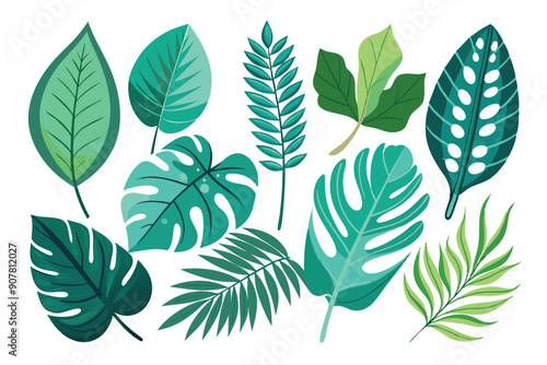 Collection of Various Green Tropical Leaves