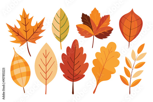 Colorful Autumn Leaves Collection