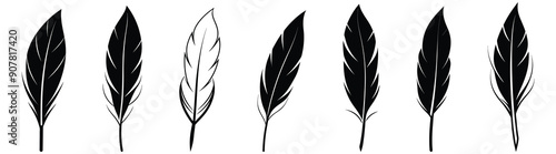 Set of Bird Feather. Feathers vector set in a flat style. Pen icon. Black quill feather silhouette. Plumelet collection isolated on white background vector EPS10