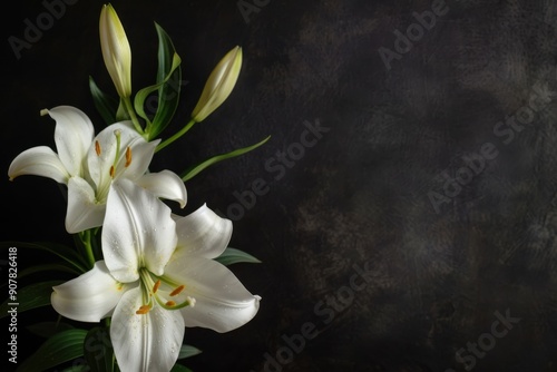 Depiction of sorrow: white flowers on a dark background