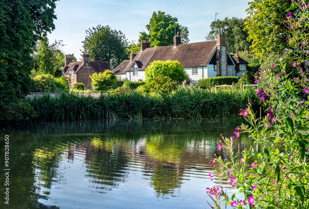 Reflections in the village pond at Buriton with vivid pink flowers in the foreground. Reflections in the village pond at Buriton with vivid pink flowers in the foreground.
