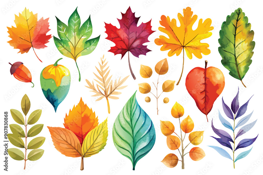 Obraz premium Watercolor Collection of Fall Foliage and Branch Details