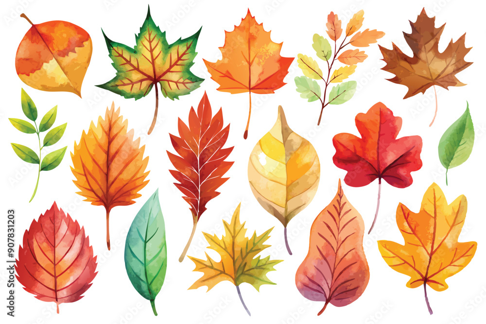 Watercolor Collection of Autumn Leaves in Various Shapes and Colors Watercolor Collection of Autumn Leaves in Various Shapes and Colors