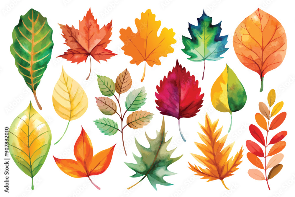 Fototapeta premium Watercolor Illustration of Colorful Autumn Leaves