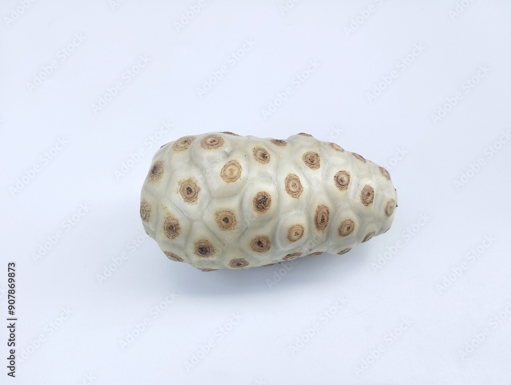 Morinda citrifolia Fresh Noni fruit isolated on white background 