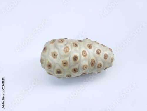 Morinda citrifolia Fresh Noni fruit isolated on white background  photo