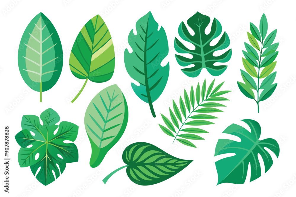 Collection of Diverse Green Leaves with White Background Collection of Diverse Green Leaves with White Background