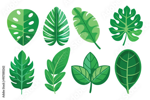 Collection of Eight Green Leaves with Varied Shapes and Textures