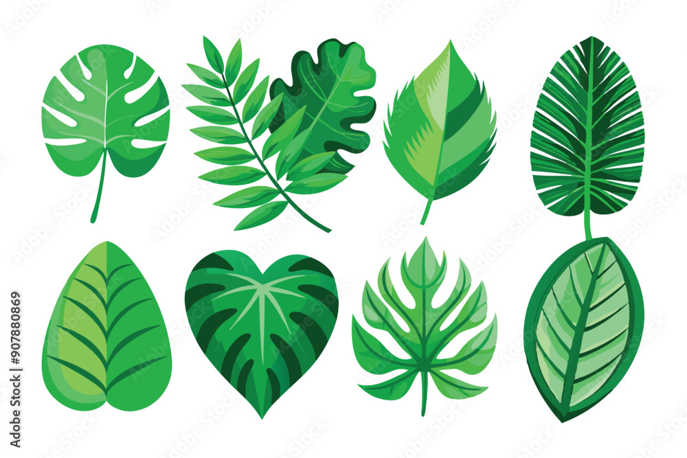 Obraz premium Set of Green Tropical Leaves with Different Shapes and Textures