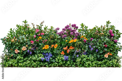 Fototapeta Naklejka Na Ścianę i Meble -  A vibrant flower bed features a variety of colorful blooms, creating an inviting atmosphere in a garden setting