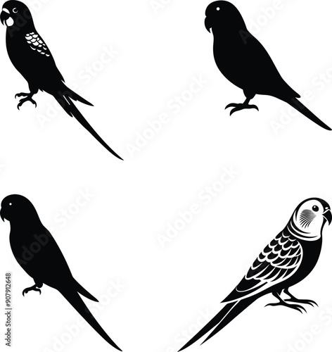 budgerigar silhouette