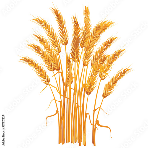 Obraz na płótnie Golden yellow wheat stalks standing tall, heads full ripe, set against isolated white background. Agricultural produce, particularly wheat, realistic graphic style farming harvesting themes. Wheat w salonie