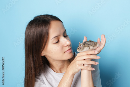 Cute hamster in hands, owner feeding, domestic animal. photo