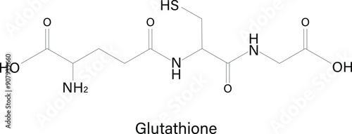 Easy to use vector image of Glutathione